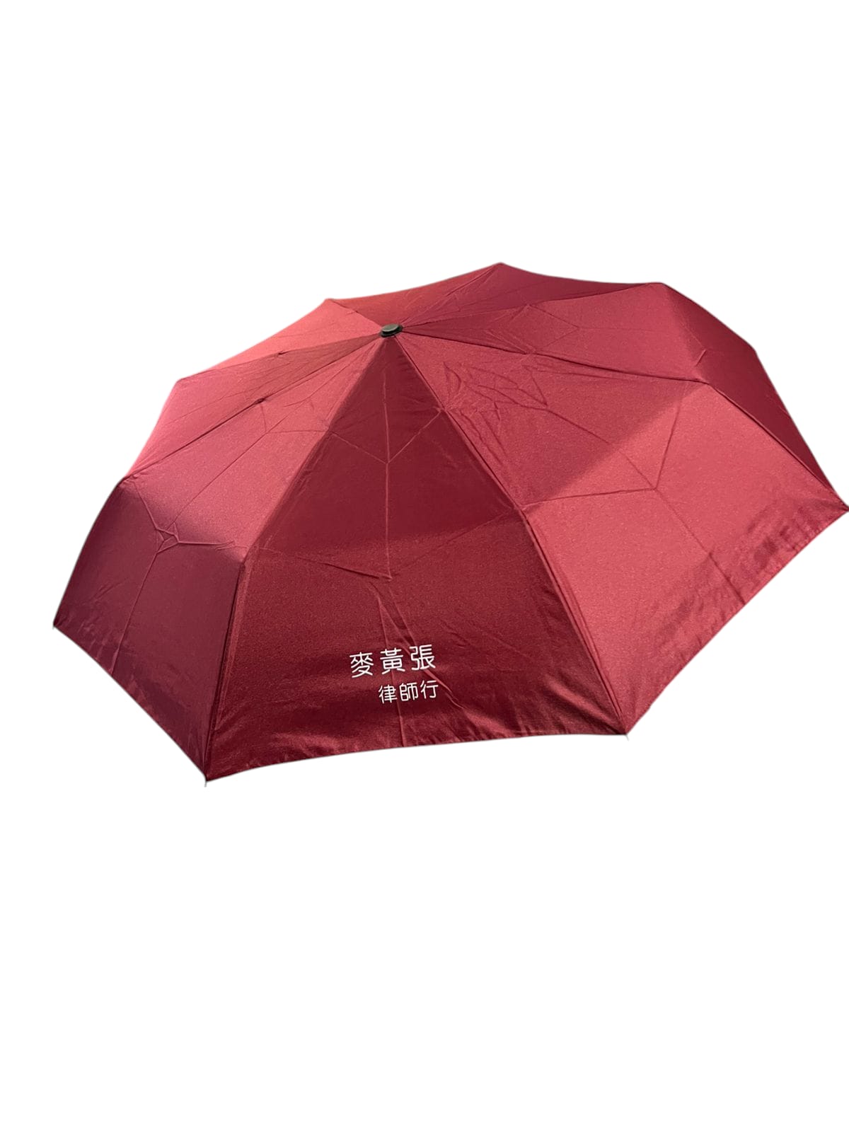 Rumee® Automatic Smart Umbrella